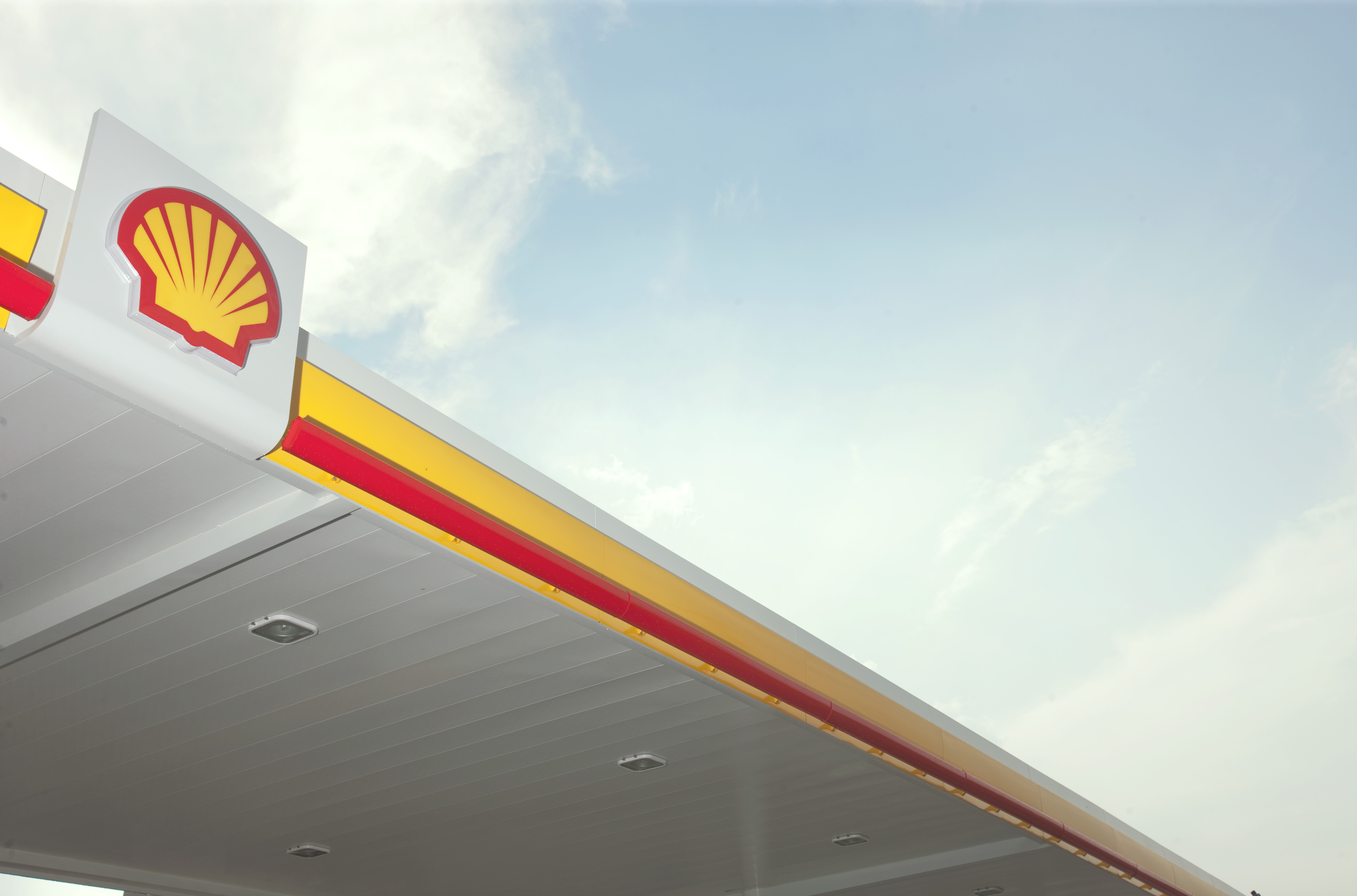Steve's Shell logo